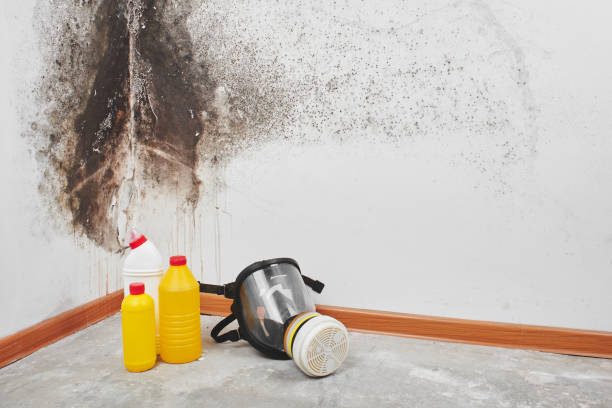 Justice, OK Mold Removal Pros