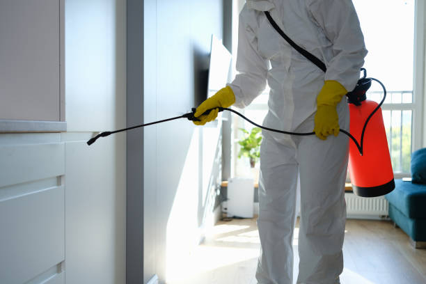 Professional Mold Remediation in Justice, OK